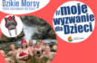 Dzikie Morsy… dzikie morsowanie wspiera rehabilitację